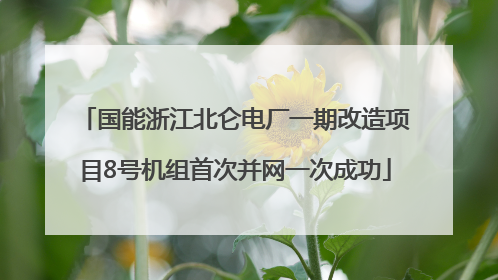国能浙江北仑电厂一期改造项目8号机组首次并网一次成功
