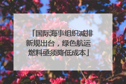 国际海事组织减排新规出台，绿色航运燃料亟须降低成本
