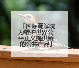国际调解院为维护世界公平正义提供新的公共产品