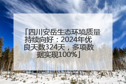 四川安岳生态环境质量持续向好：2024年优良天数324天，多项数据实现100%