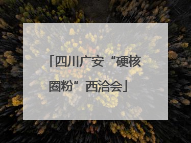 四川广安“硬核圈粉”西洽会