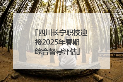 四川长宁职校迎接2025年春期综合督导评估