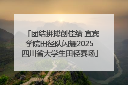 团结拼搏创佳绩 宜宾学院田径队闪耀2025四川省大学生田径赛场