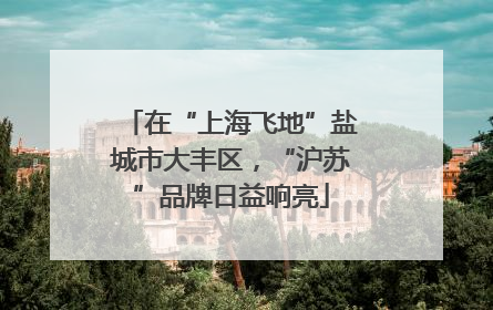 在“上海飞地”盐城市大丰区，“沪苏”品牌日益响亮