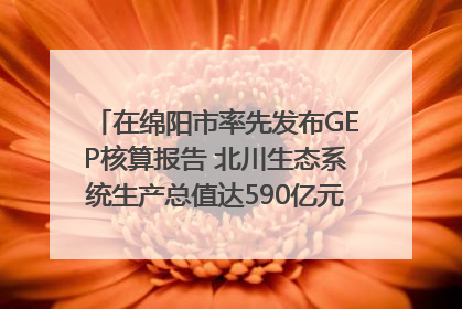 在绵阳市率先发布GEP核算报告 北川生态系统生产总值达590亿元｜新闻发布最前线
