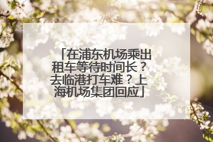 在浦东机场乘出租车等待时间长？去临港打车难？上海机场集团回应