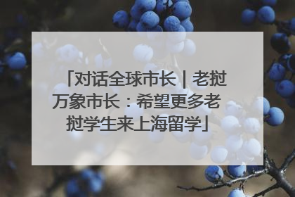 对话全球市长｜老挝万象市长：希望更多老挝学生来上海留学