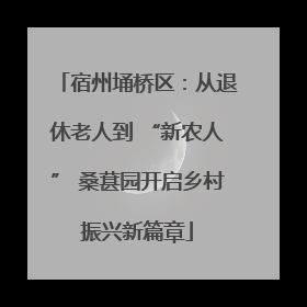 宿州埇桥区：从退休老人到 “新农人” 桑葚园开启乡村振兴新篇章
