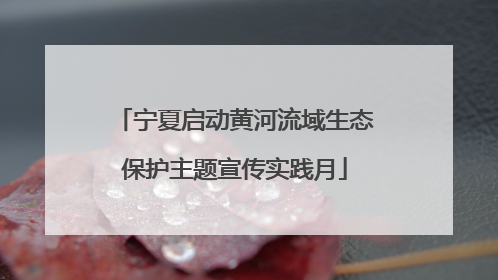 宁夏启动黄河流域生态保护主题宣传实践月