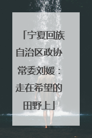 宁夏回族自治区政协常委刘媛：走在希望的田野上