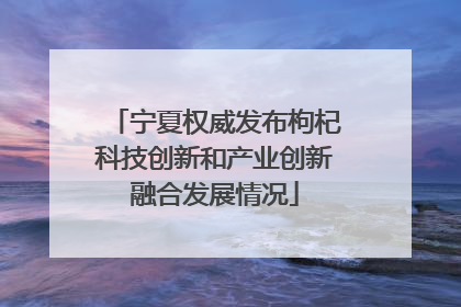 宁夏权威发布枸杞科技创新和产业创新融合发展情况