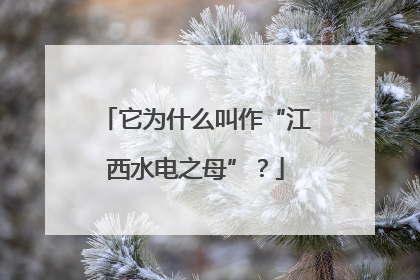 它为什么叫作“江西水电之母”？