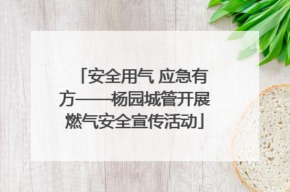 安全用气 应急有方——杨园城管开展燃气安全宣传活动