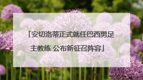 安切洛蒂正式就任巴西男足主教练 公布新征召阵容