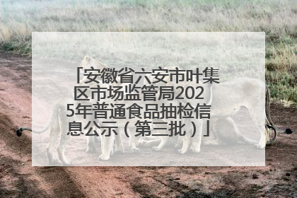 安徽省六安市叶集区市场监管局2025年普通食品抽检信息公示（第三批）