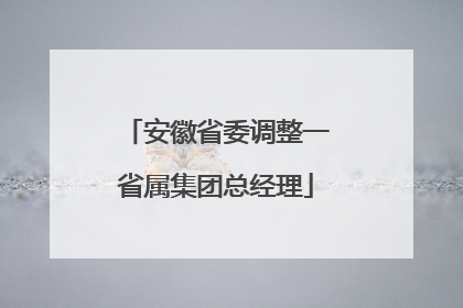 安徽省委调整一省属集团总经理