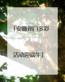 安徽祁门多彩活动迎端午