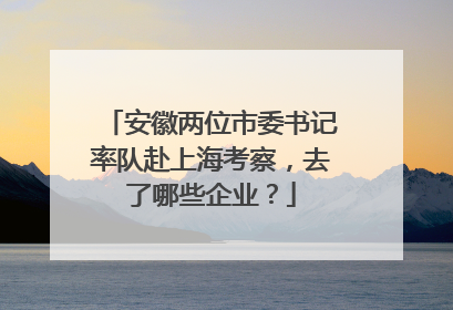 安徽两位市委书记率队赴上海考察，去了哪些企业？