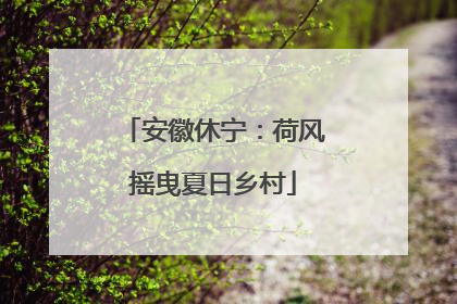 安徽休宁：荷风摇曳夏日乡村