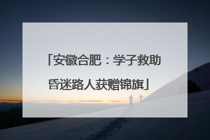 安徽合肥：学子救助昏迷路人获赠锦旗