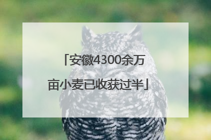 安徽4300余万亩小麦已收获过半