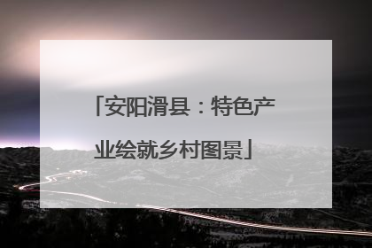 安阳滑县：特色产业绘就乡村图景