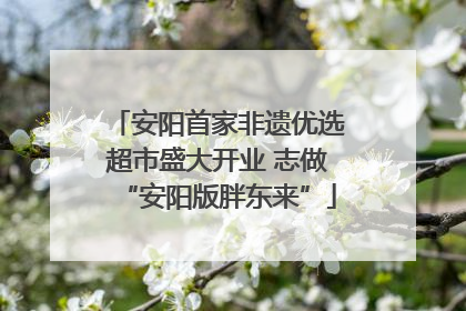 安阳首家非遗优选超市盛大开业 志做“安阳版胖东来”