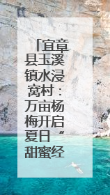 宜章县玉溪镇水浸窝村：万亩杨梅开启夏日“甜蜜经济”