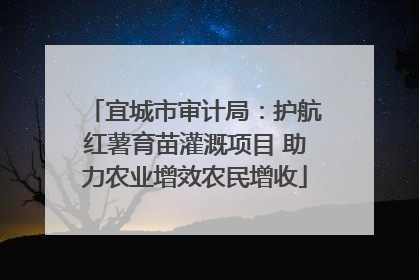 宜城市审计局：护航红薯育苗灌溉项目 助力农业增效农民增收