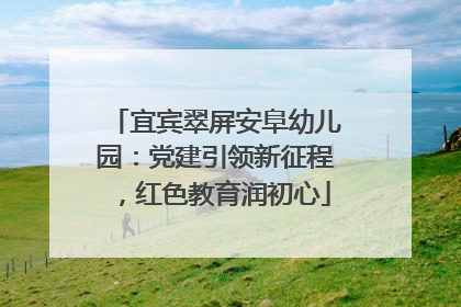 宜宾翠屏安阜幼儿园：党建引领新征程，红色教育润初心