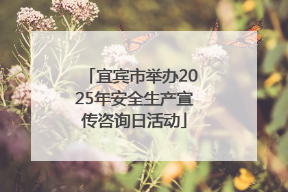 宜宾市举办2025年安全生产宣传咨询日活动