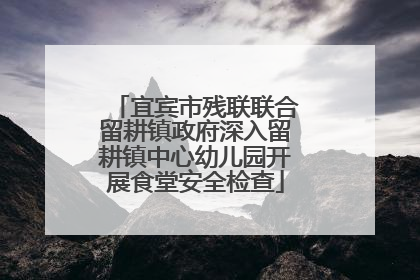 宜宾市残联联合留耕镇政府深入留耕镇中心幼儿园开展食堂安全检查