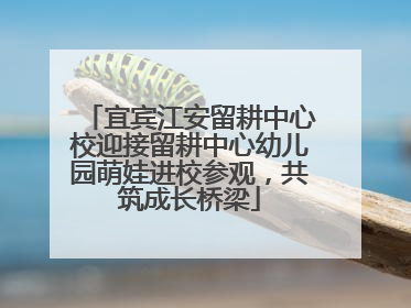宜宾江安留耕中心校迎接留耕中心幼儿园萌娃进校参观，共筑成长桥梁
