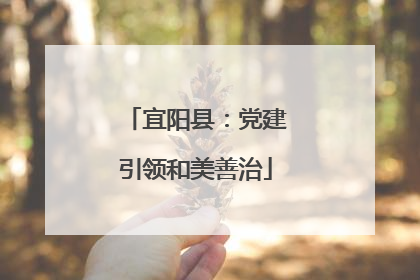宜阳县：党建引领和美善治