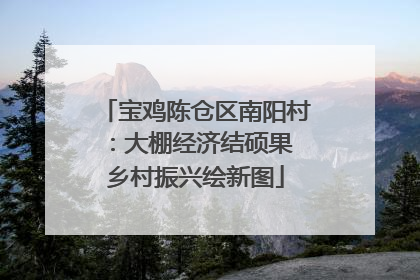 宝鸡陈仓区南阳村：大棚经济结硕果 乡村振兴绘新图