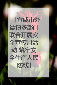 宣威市务德镇多部门联合开展安全宣传月活动 筑牢安全生产人民防线