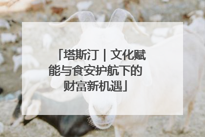 塔斯汀｜文化赋能与食安护航下的财富新机遇