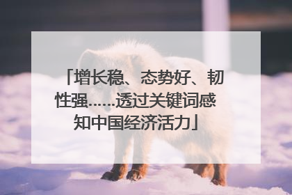 增长稳、态势好、韧性强……透过关键词感知中国经济活力
