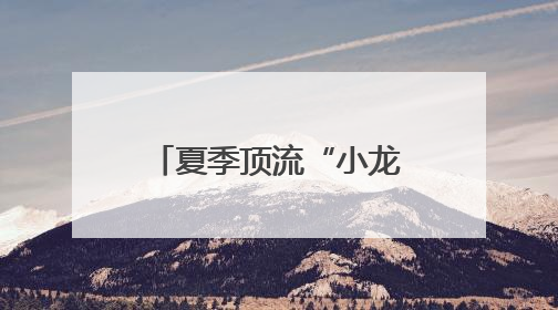 夏季顶流“小龙虾”迎来上市旺季，记者走访一线市场，不到一杯奶茶钱就能买斤虾