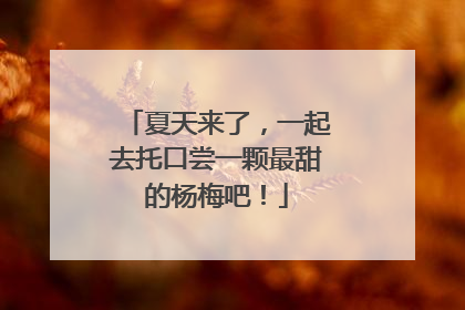 夏天来了，一起去托口尝一颗最甜的杨梅吧！