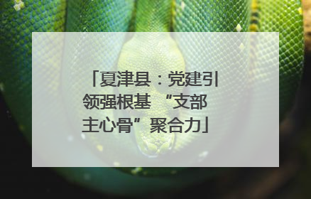 夏津县：党建引领强根基 “支部主心骨”聚合力