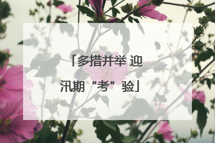 多措并举 迎汛期“考”验