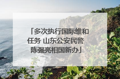 多次执行国际维和任务 山东公安民警陈强亮相国新办