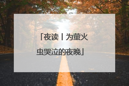 夜读丨为萤火虫哭泣的夜晚