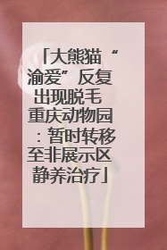 大熊猫“渝爱”反复出现脱毛 重庆动物园：暂时转移至非展示区静养治疗
