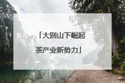 大别山下崛起茶产业新势力