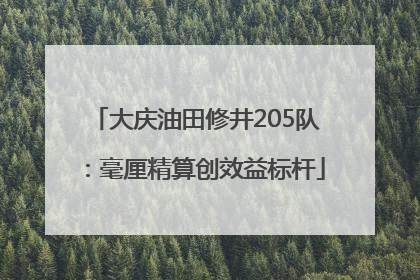 大庆油田修井205队：毫厘精算创效益标杆