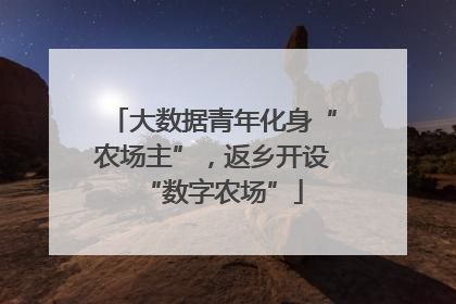 大数据青年化身“农场主”，返乡开设“数字农场”