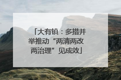 大有镇：多措并举推动“两清两改两治理”见成效