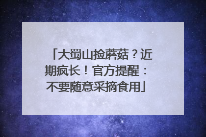 大蜀山捡蘑菇？近期疯长！官方提醒：不要随意采摘食用